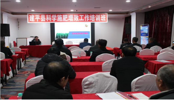乐天堂备用网址