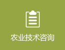 乐天堂备用网址