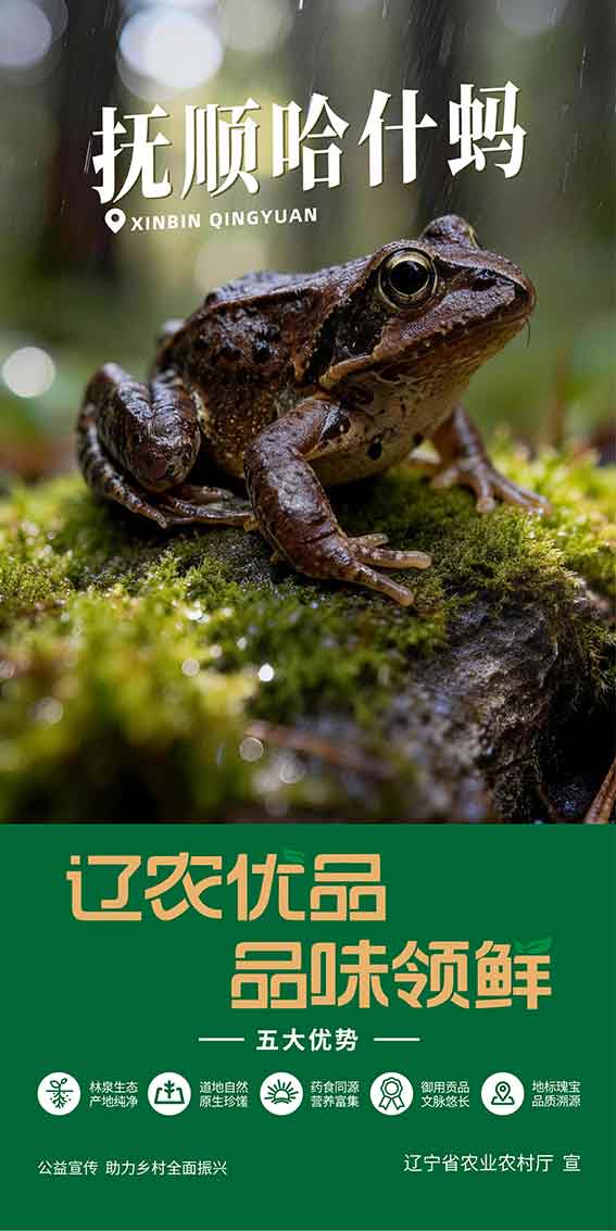 乐天堂备用网址