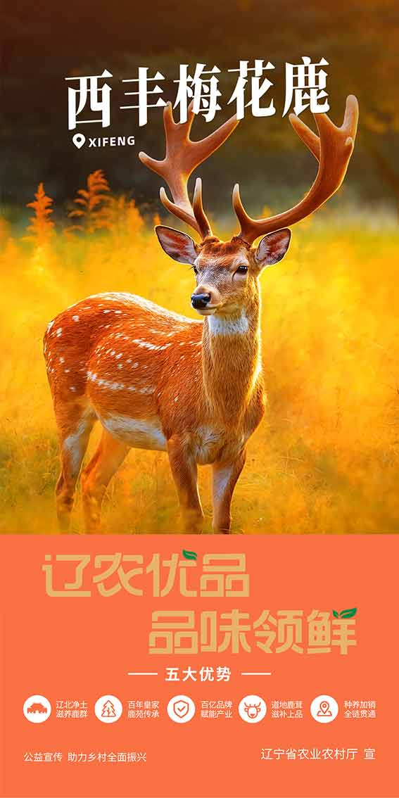 乐天堂备用网址