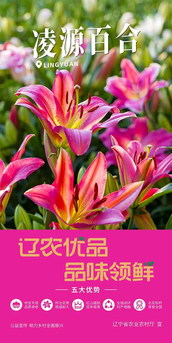 乐天堂备用网址