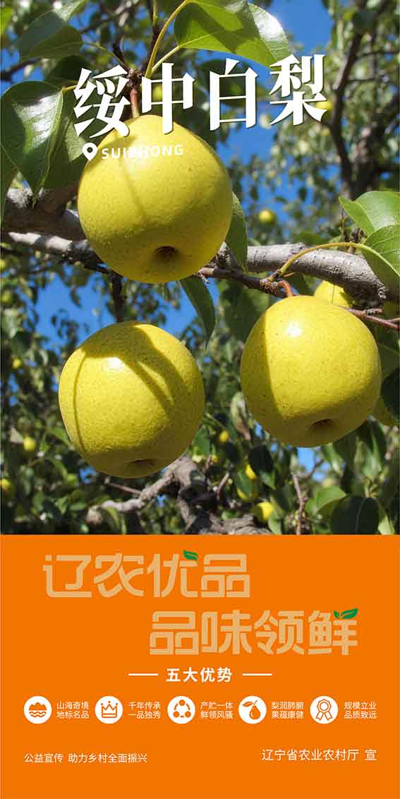 乐天堂备用网址