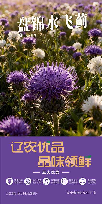 乐天堂备用网址