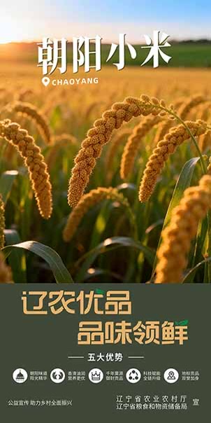 乐天堂备用网址