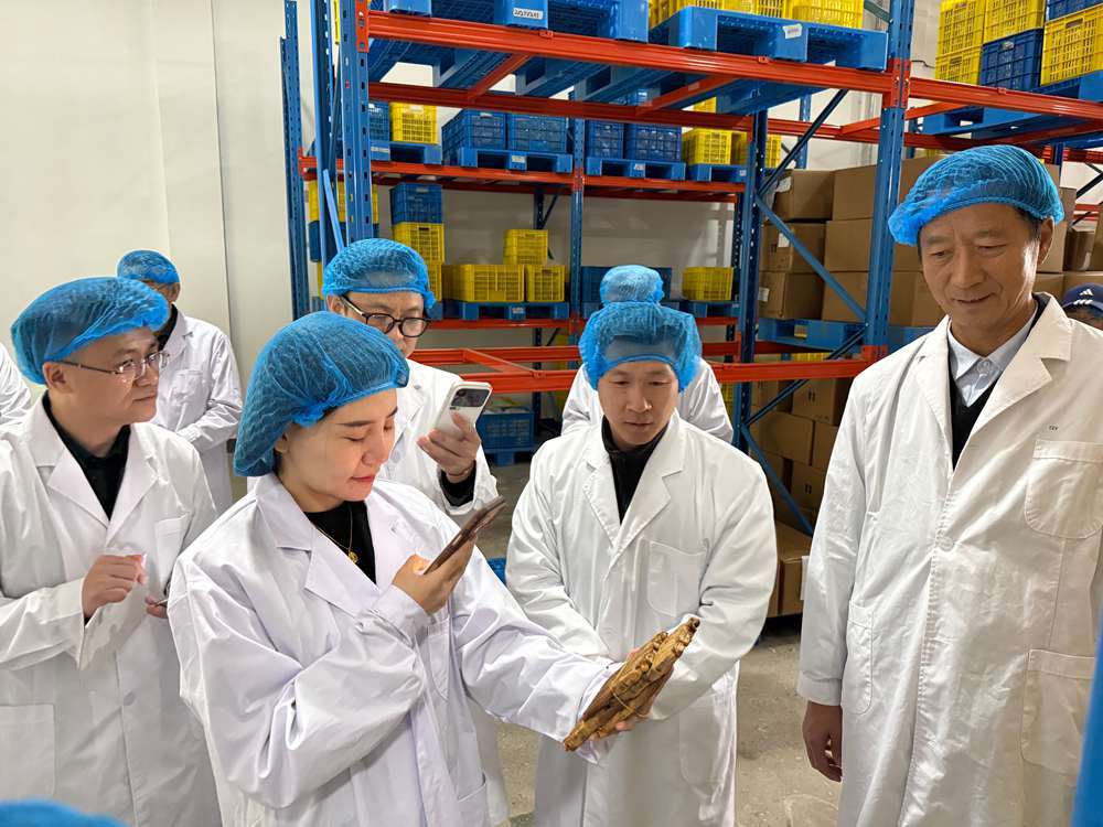 乐天堂备用网址